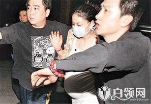 狗仔爆料怀孕视频播放全集,怀孕视频全集幕后真相大揭秘  第1张